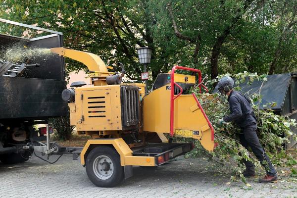 Long Island Tree & Landscape Service