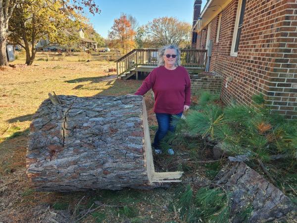 Paramount Tree Company