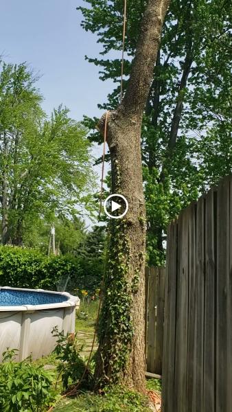 B&G Tree Service