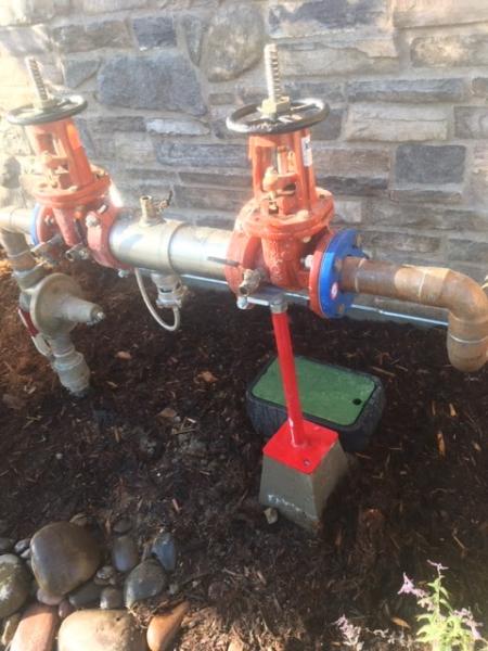 Hydro Backflow
