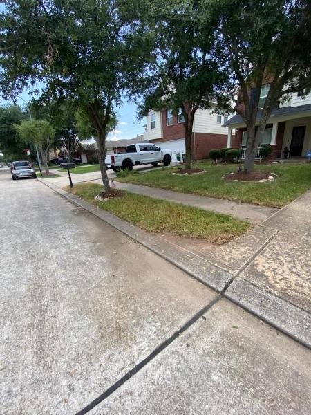Mendez Tree Service