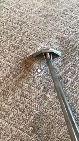 A Plus Carpet Cleaning