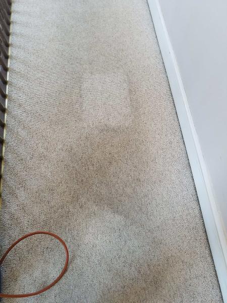A Plus Carpet Cleaning
