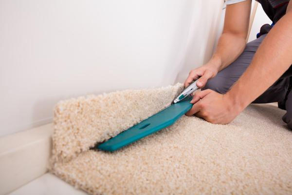 Professional Carpet Systems