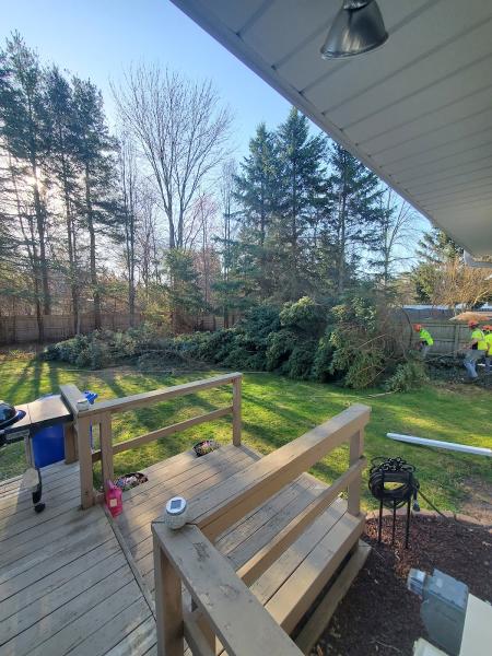 Kindy Tree Service LLC