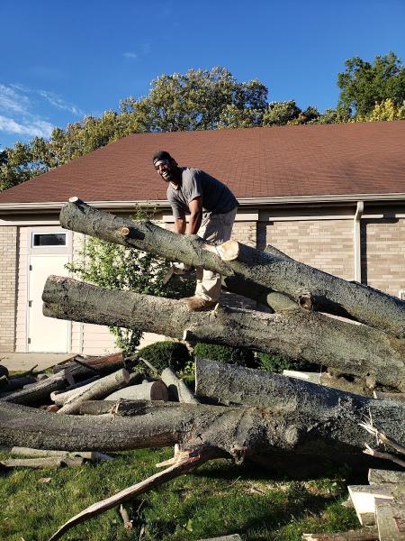 S&J Tree Service and Snow Removal