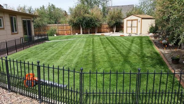 Savin' Green Lawn and Sprinkler
