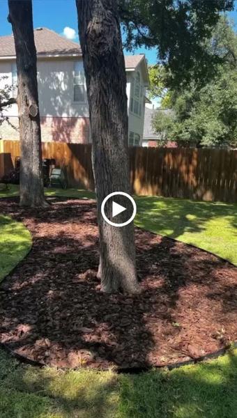 The Cut Lawn Care
