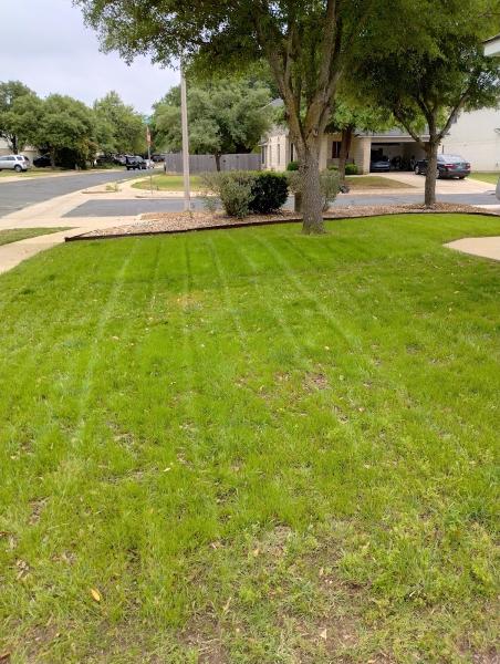 The Cut Lawn Care
