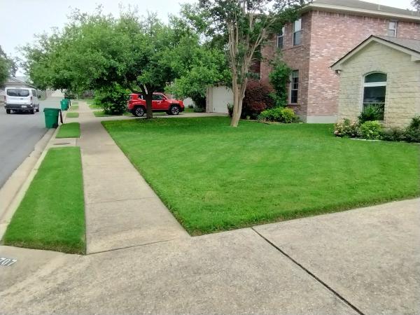 The Cut Lawn Care