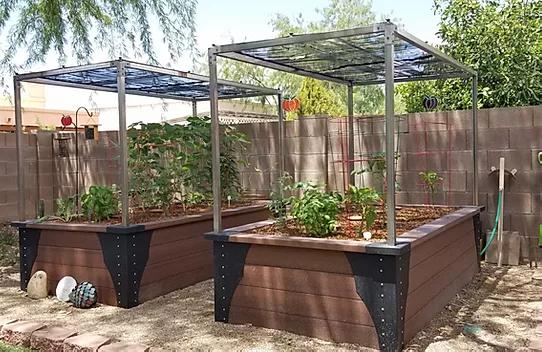 Thrive and Grow Gardens