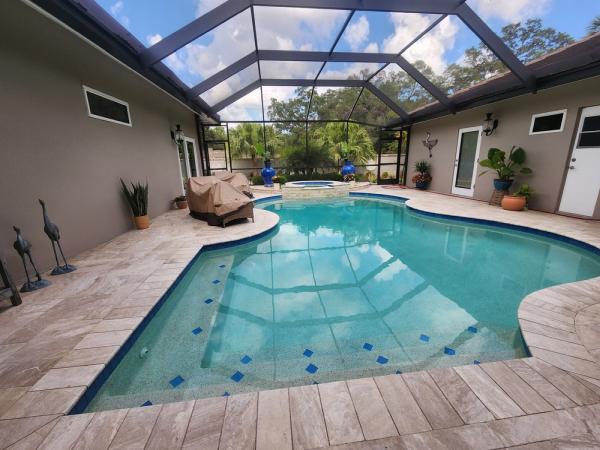 Dog Days Pools
