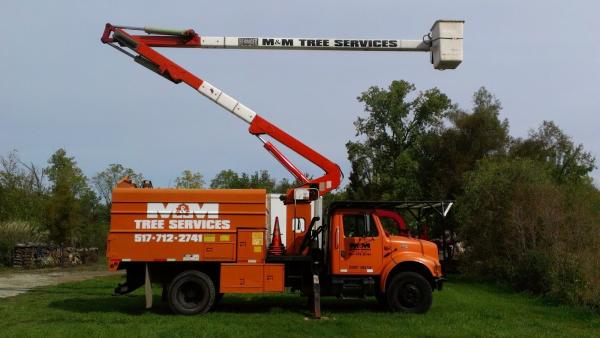 M & M Tree Service LLC