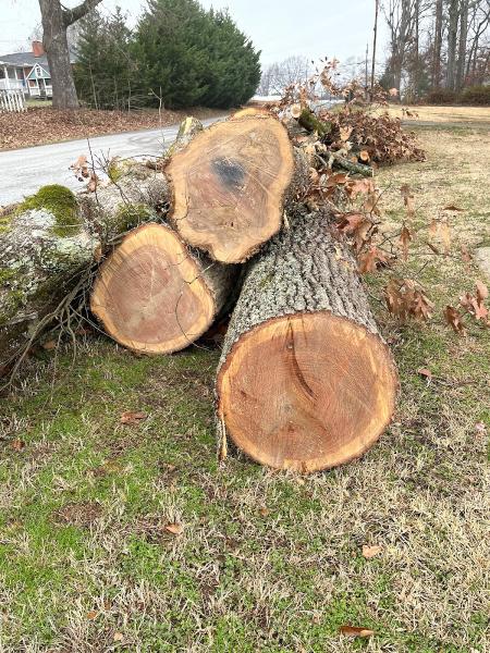 Tyndal Tree Service LLC