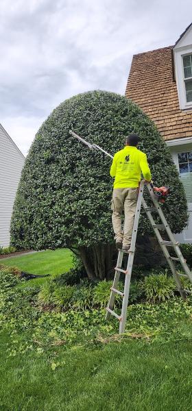 Sky Lawn LLC
