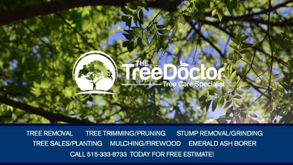 The Tree Doctor