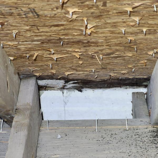People's Choice Home Inspections