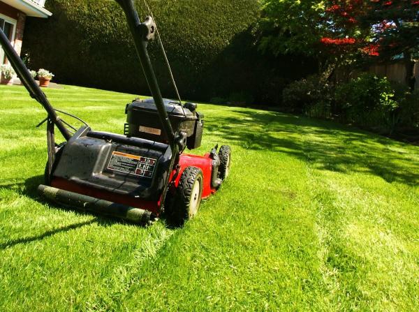 True Trim Lawn Care