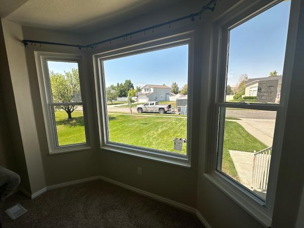 Synergy Windows