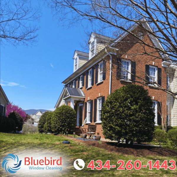 Bluebird Window Cleaning