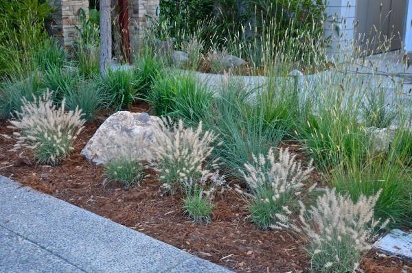 Cold Springs Landscapes Irrigation Inc