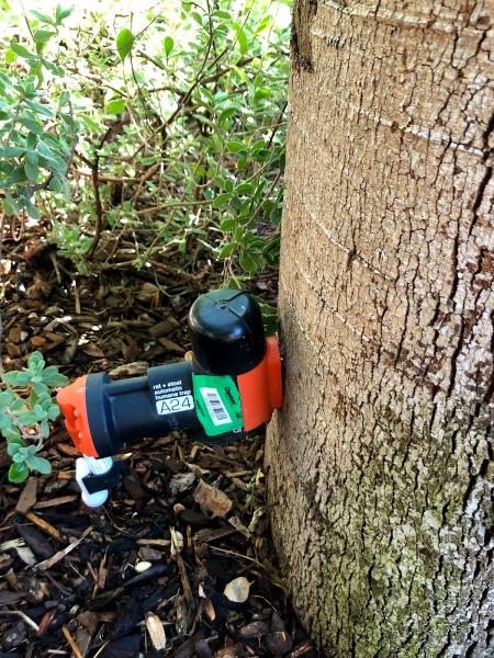 Zircon Pest Solutions