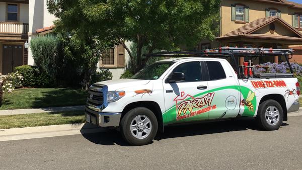 Parish Termite & Pest Management