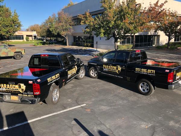 Paragon Pest Management