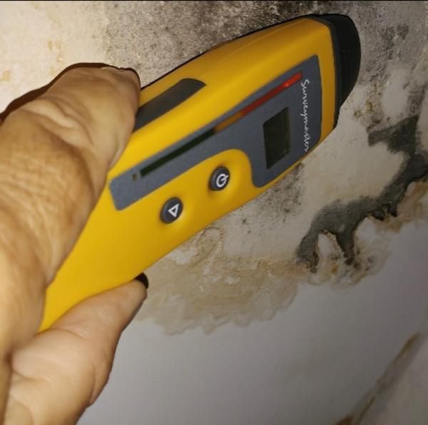 Enviro-Safe Mold Inspections