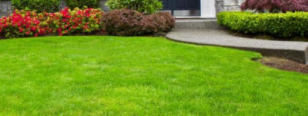 Expertise Lawn Sprinklers Inc
