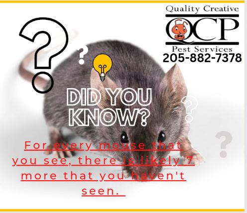 QC Pest Services
