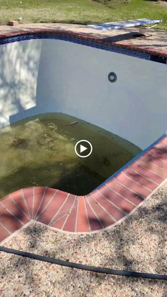 Revive Pool Pros
