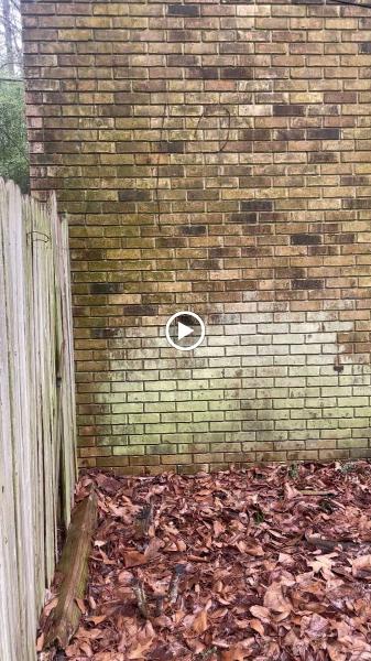Diamond Pressure & Soft Washing