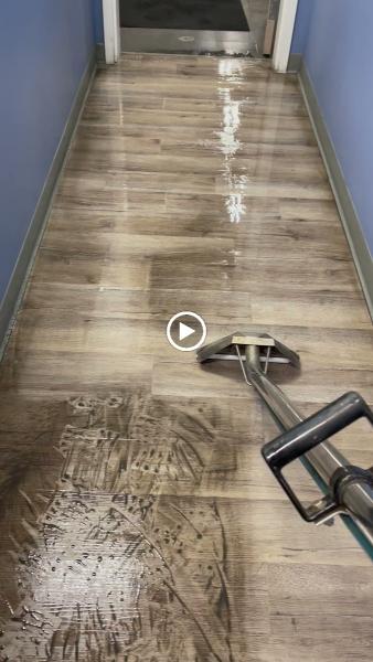 Blue Wave Carpet Cleaning LLC