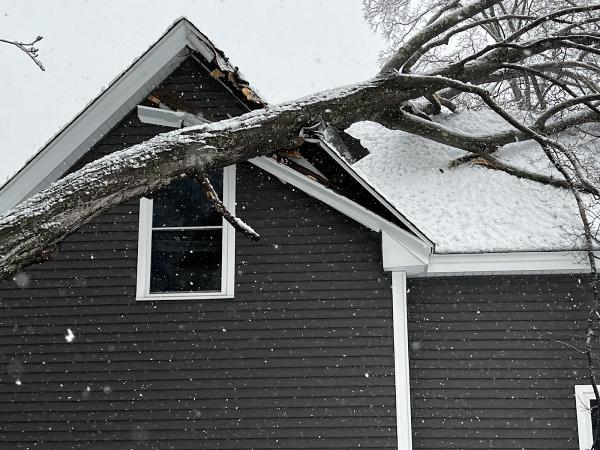 Rick's Tree Service