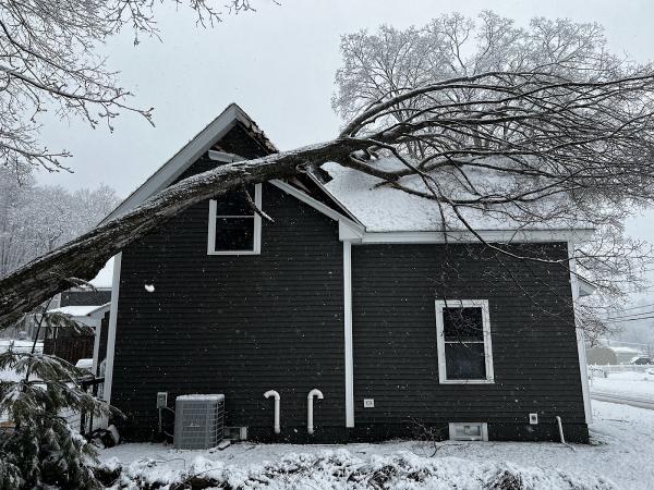 Rick's Tree Service