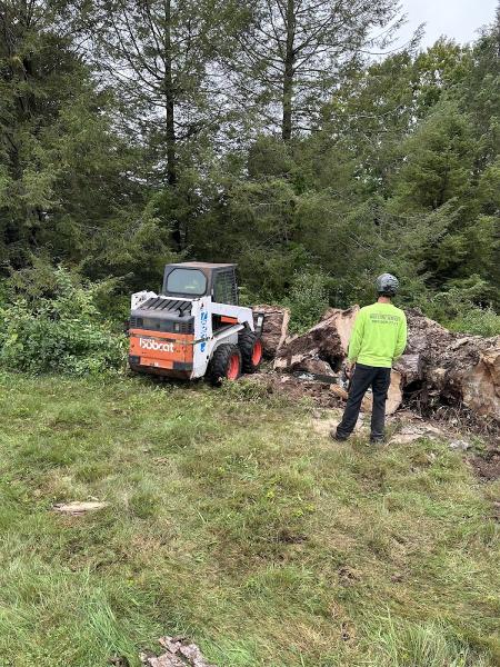 Rick's Tree Service