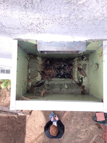 Always Roofing