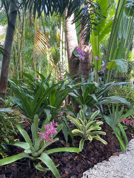 Top Notch Landscaping & Design