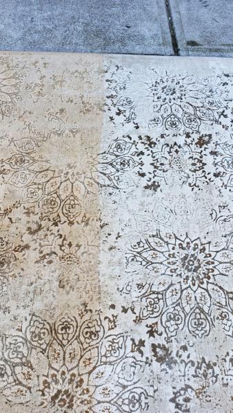Wiltek Carpet Cleaning