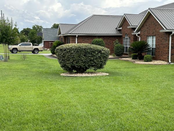 A.P. Lawn Care & Pressure Washing