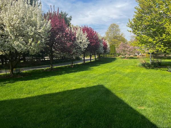 Arborist Gaia Landscape