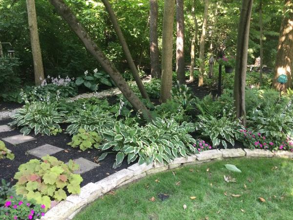 Eddie's Landscaping LLC