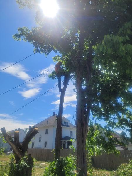 Eddie's Landscaping LLC