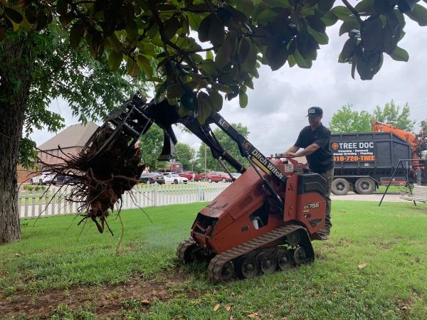 Tulsa Tree Doc