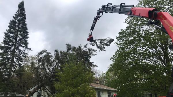 Peterson's Tree Care