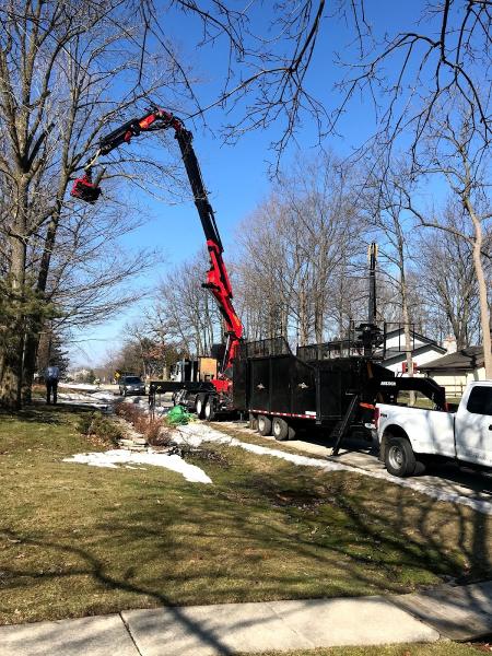 Peterson's Tree Care