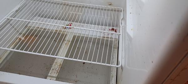 Cleaning Services Jacksonville fl