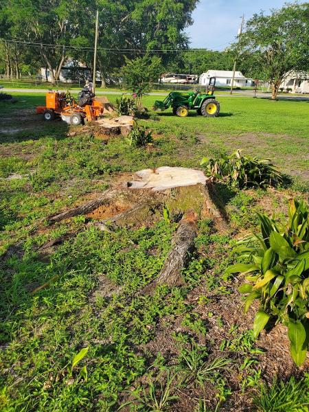Deep South Stump Grinding