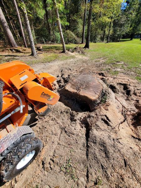 Deep South Stump Grinding